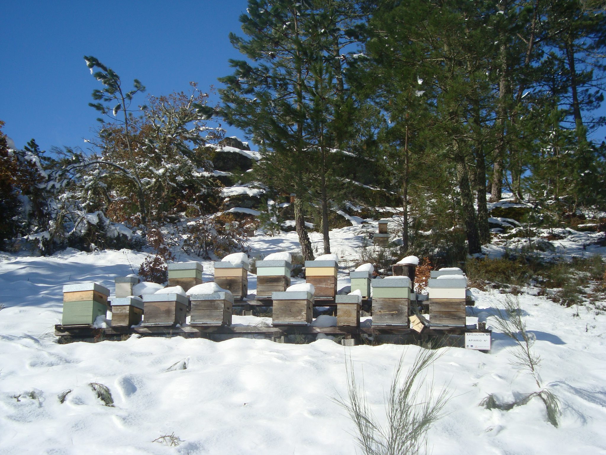 472589_110643285741629_1791736901_o